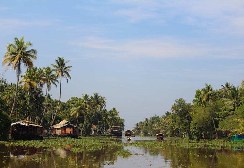 Enjoy a 4 Nights 5 Days Kerala holiday with Travelsthan, featuring houseboats, wildlife, and scenic landscapes.
