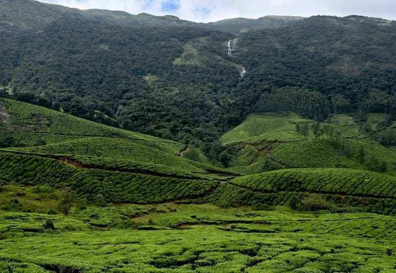 Travelsthan’s 4 Nights 5 Days Kerala tour offers houseboats, hill stations, and cultural experiences.