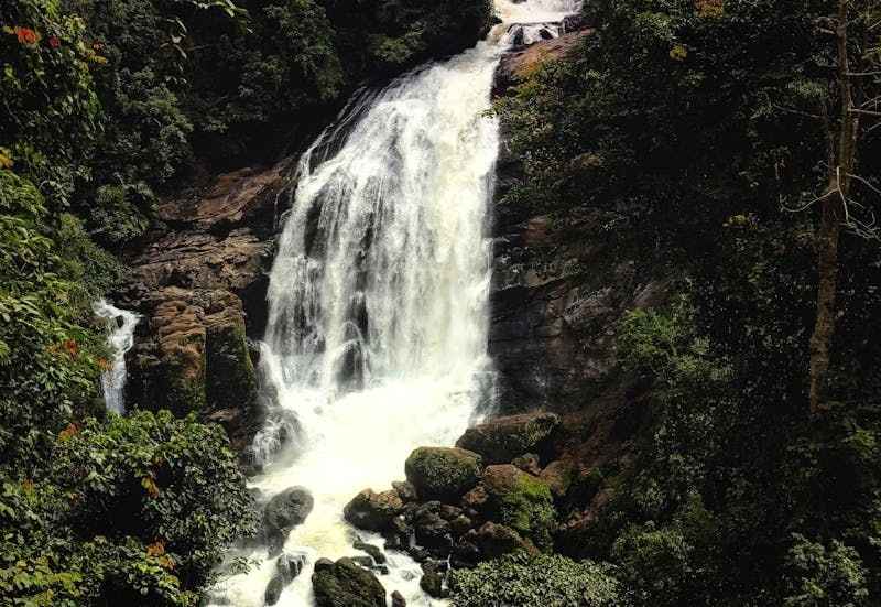 Enjoy a refreshing 4 Nights 5 Days Kerala trip with Travelsthan, covering beaches, backwaters, and hills.